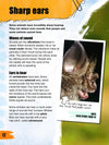Amazing Animal Super-Sleuths