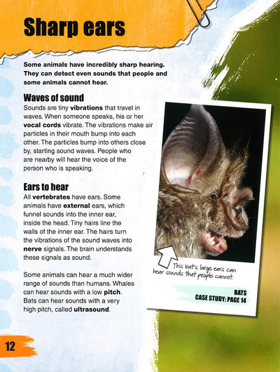 Amazing Animal Super-Sleuths