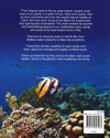 Oceans: Discover The Beauty Of Our Underwater World