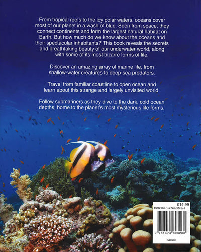 Oceans: Discover The Beauty Of Our Underwater World