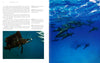 Oceans: Discover The Beauty Of Our Underwater World