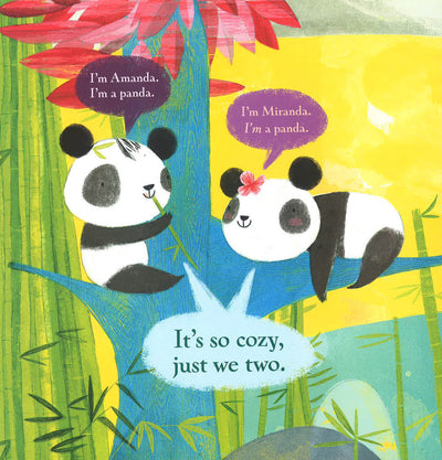 Bamboo For Me, Bamboo For You!