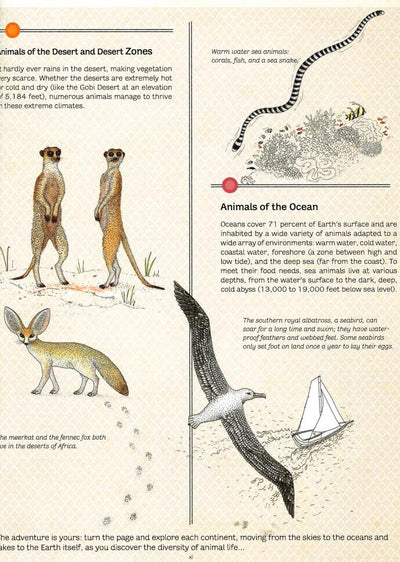 Animal Atlas