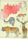 Animal Atlas