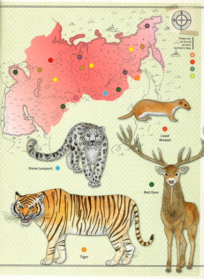 Animal Atlas