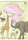 Animal Atlas