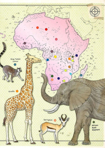 Animal Atlas