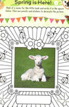 Spring Sticker And Activity Book