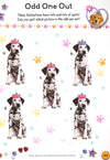 Summer Sticker And Activity Book