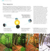 Weather: A Visual Guide