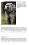 Primates In Question: The Smithsonian Answer Boook