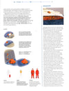 The Way To Go: Moving By Sea, Land, And Air