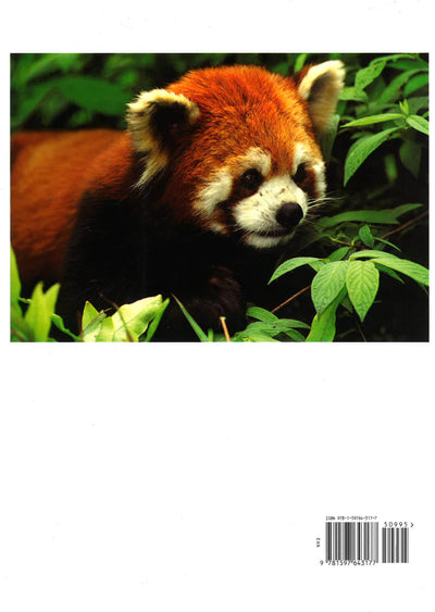 Pandas