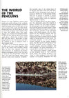 Penguins: A Portrait Of The Animal World