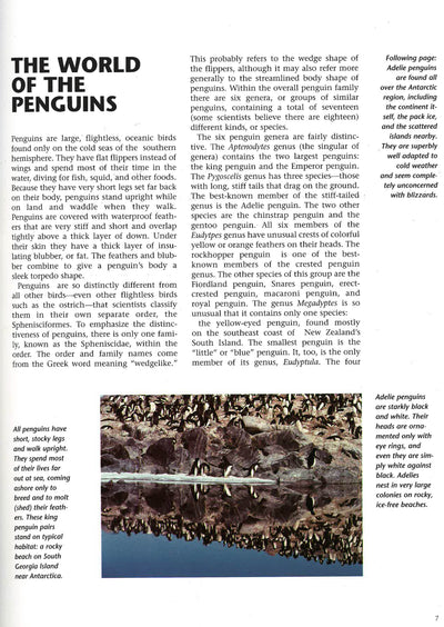 Penguins: A Portrait Of The Animal World