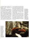 Penguins: A Portrait Of The Animal World