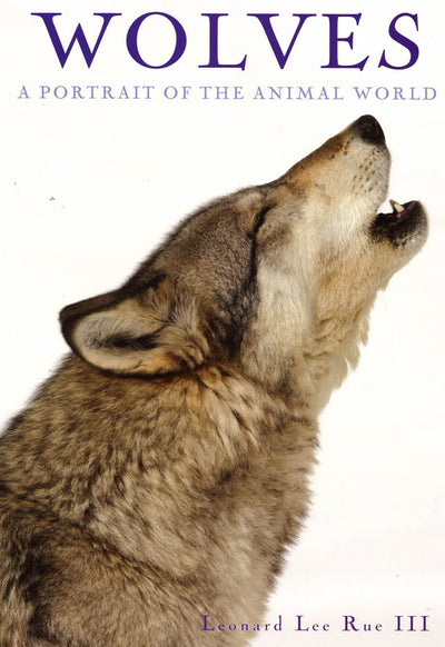 Wolves A Portrait Of The Animals World