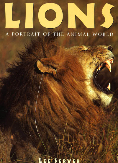 Lions: A Portrait Of The Animal World