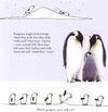 All About Wild Animals