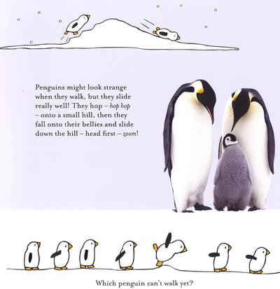 All About Wild Animals