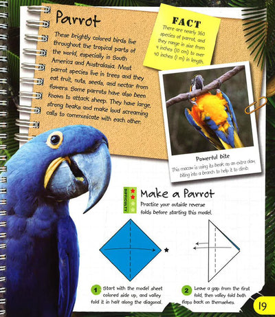 Origami Adventures: Animals