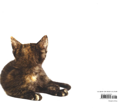 Kittenhood