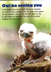 Animal Planet - Baby Animals