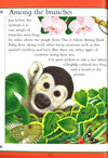 Animal Kingdom Sticker Activity Book: Jungles And Oceans