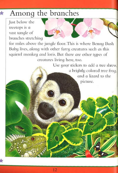Animal Kingdom Sticker Activity Book: Jungles And Oceans