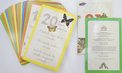 Look & Learn Activity Set: 123