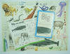 Look & Learn Activity Set: Colors & Opposites