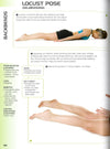 Anatomy Of Yoga