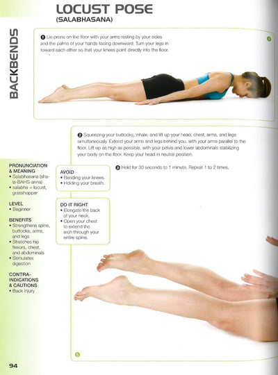 Anatomy Of Yoga