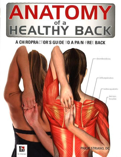 Anatomy Of A Healthy Back