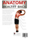 Anatomy Of A Healthy Back