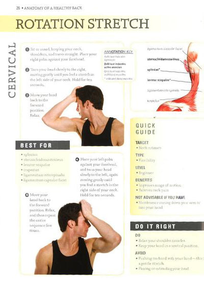 Anatomy Of A Healthy Back