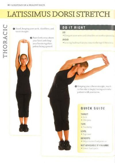 Anatomy Of A Healthy Back