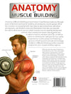 Anatomy Of Muscle Building