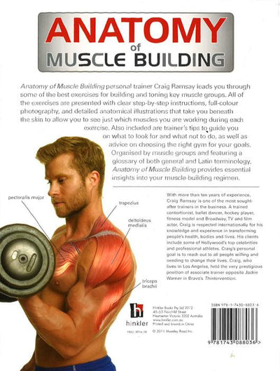 Anatomy Of Muscle Building