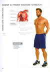 Anatomy Of Muscle Building
