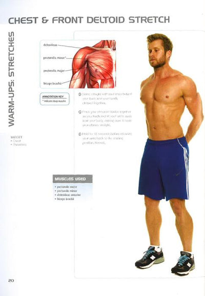 Anatomy Of Muscle Building