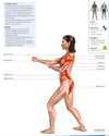 Anatomy Of Fitness: Tai Chi