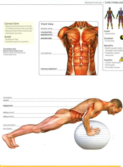 Anatomy Of Fitness: Core