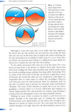 Urban Astronomy: Stargazing From Towns And Suburbs
