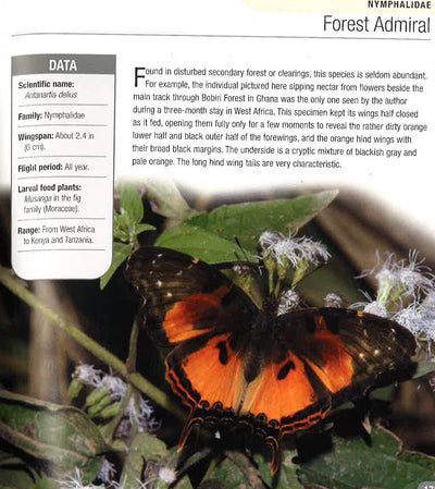 500 Butterflies: From Around The World