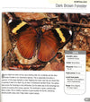 500 Butterflies: From Around The World