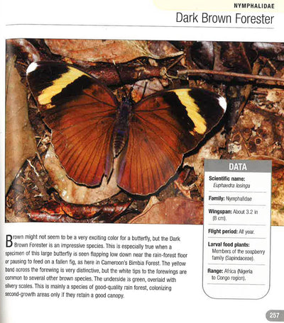 500 Butterflies: From Around The World