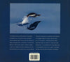 Penguins Close Encounters