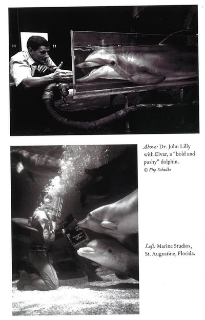Voices In The Ocean