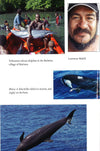 Voices In The Ocean